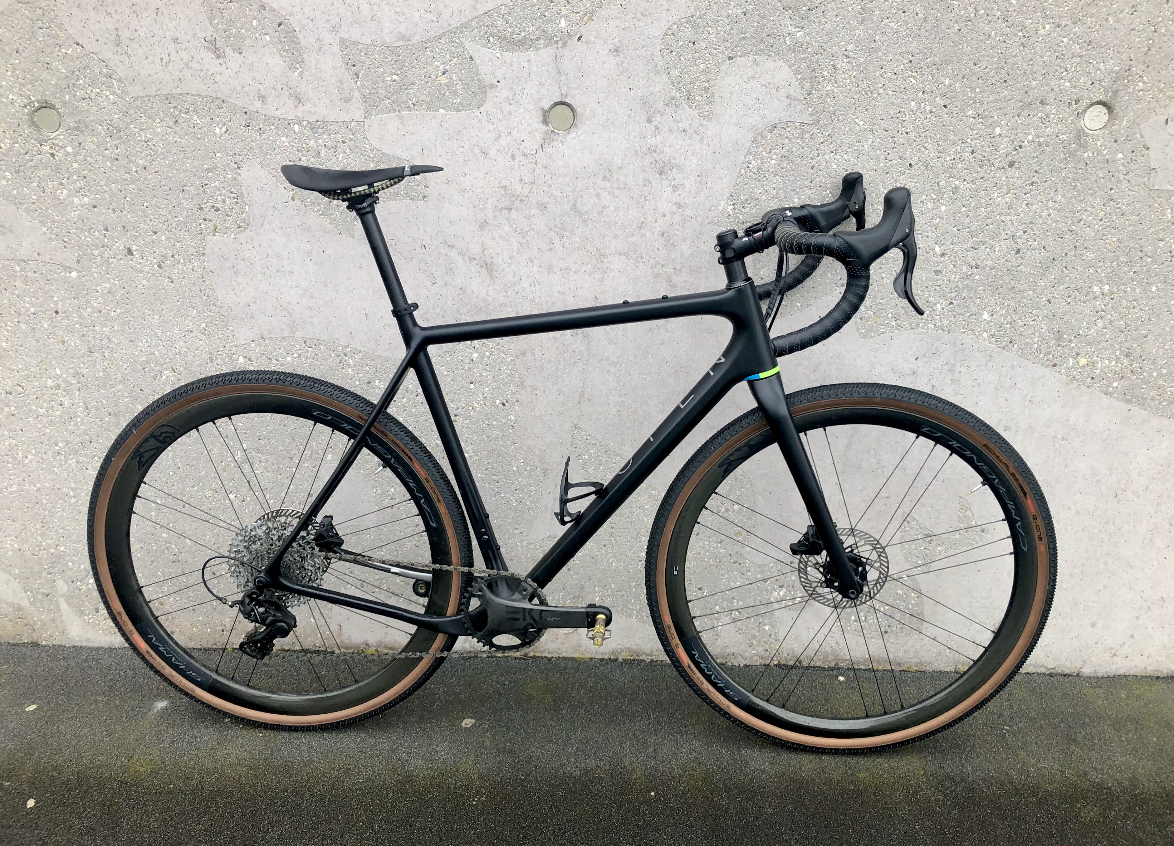 Black Beauty Black Beauty