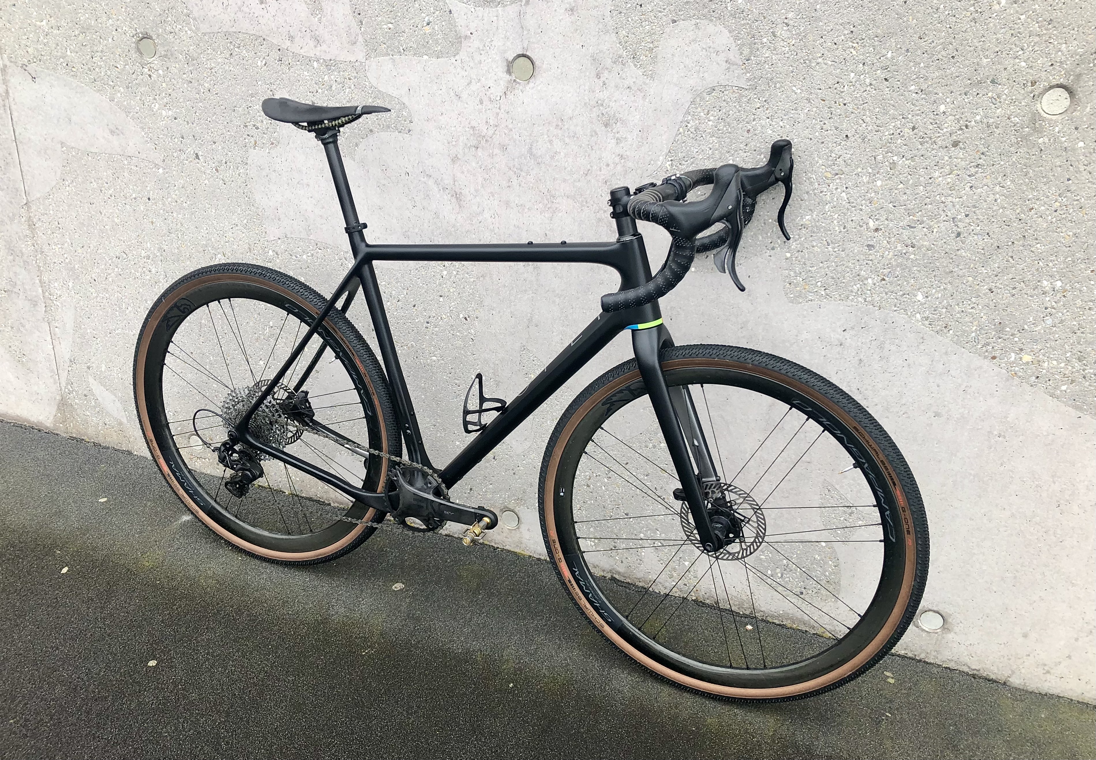 Black Beauty Black Beauty