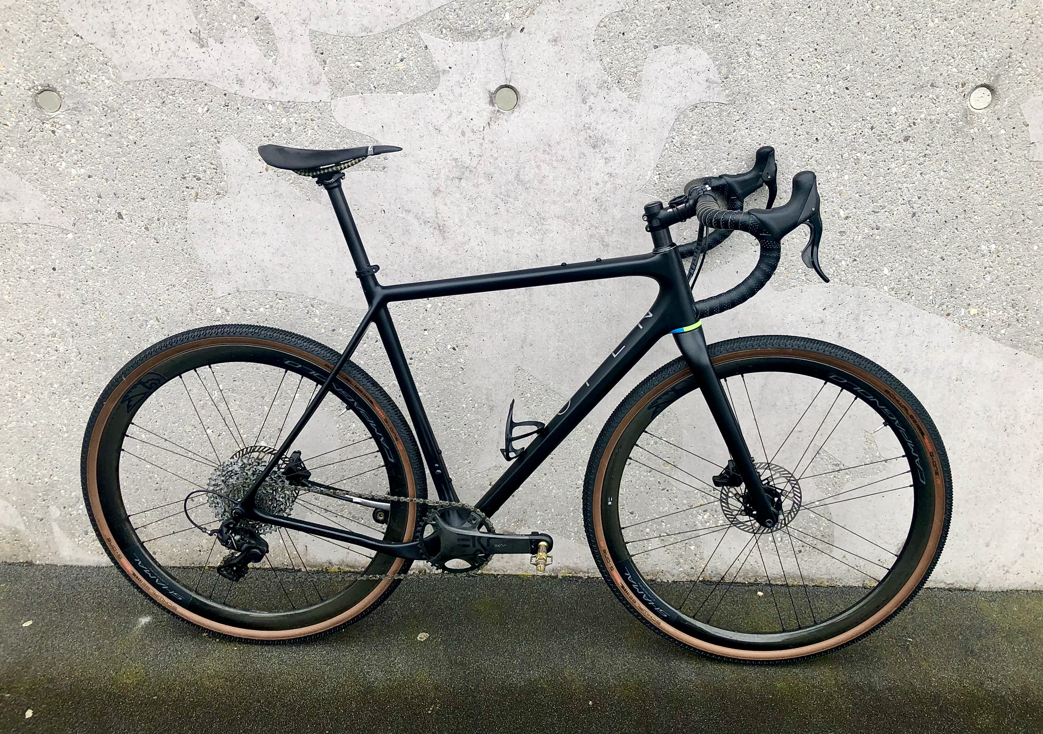 Black Beauty Black Beauty
