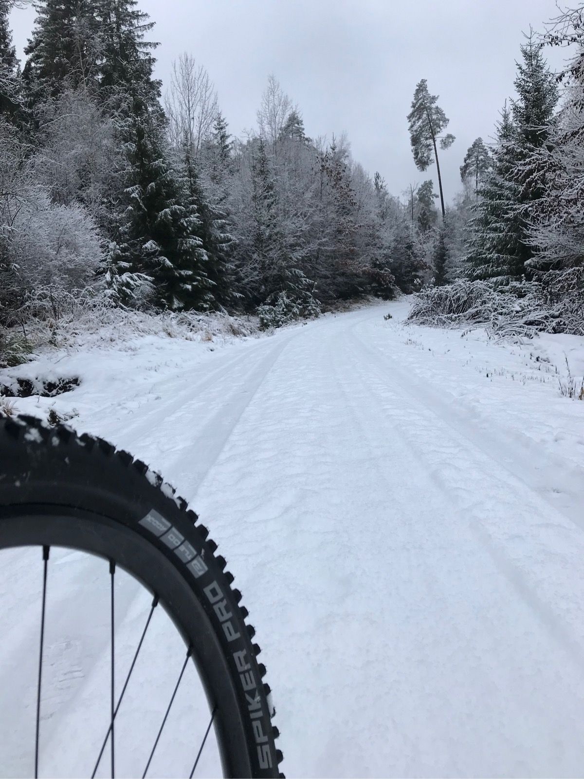 Gray Gravel Gray Gravel